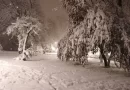 Nevreme pravi haos u Sloveniji: Jaki udari vetra, pao i sneg!