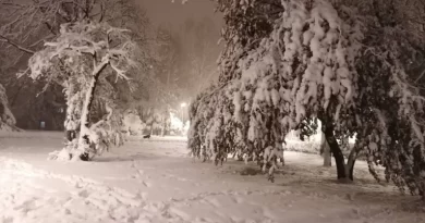 Nevreme pravi haos u Sloveniji: Jaki udari vetra, pao i sneg!