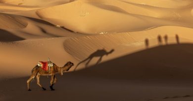 Sahara je najveća vruća pustinja na svijetu: U dalekoj prošlosti bila zelena !!!