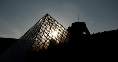 Šta je sve Luvr pregurao ove godine !