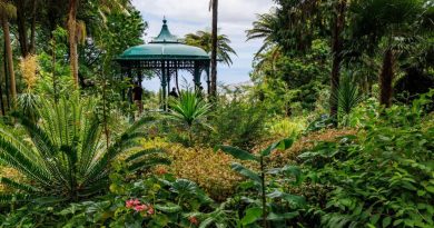 Gde putovati u proleće: Najlepši evropski parkovi i bašte koje morate videti bar jednom