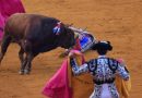 “Kralj matadora” teško povrijeđen tokom koride u Španiji !