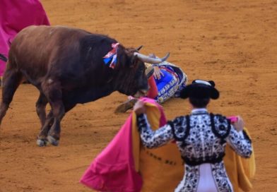 “Kralj matadora” teško povrijeđen tokom koride u Španiji !
