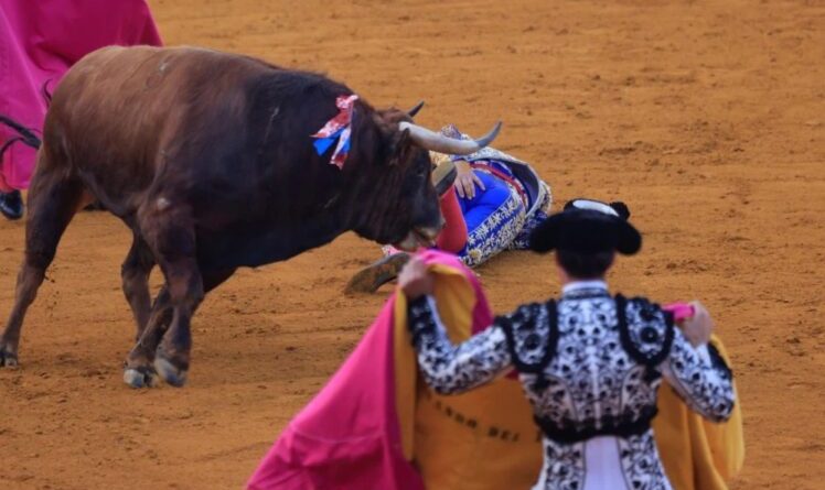 “Kralj matadora” teško povrijeđen tokom koride u Španiji !