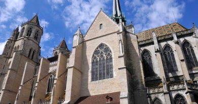 Prestonica senfa: Istorija, vino i gastronomija na sat i po od Pariza !