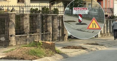 Novo drveće nestalo u Banjaluci: Posječena stabla u Novoj varoši bez objašnjenja !