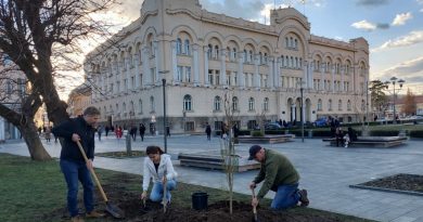 Banjaluka daje skoro 300.000 KM za sadnju novog drveća: Poznato ko je dobio posao !