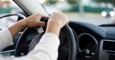 Ovo je idealna brzina ako hoćete da uštedite na gorivu.