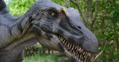 Potpisana peticija protiv izgradnje Dino parka u Trapistima !