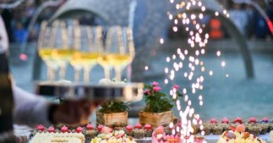 Banjaluka priprema proslavu Dana grada: Koncerti, velika torta i instalacija na Kastelu !