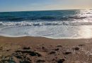 Samo je Španija ispred nje: Zemlja u kojoj letuju mnogi srpski turisti ima 657 plaža sa „Plavom zastavom“