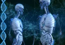 Roboti obavljaju medicinske eksperimente na Univerzitetu u Tokiju !