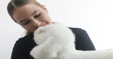Od Andreine ljubavi do ozbiljnog biznisa: Evo zašto je gruming sve popularniji u Banjaluci