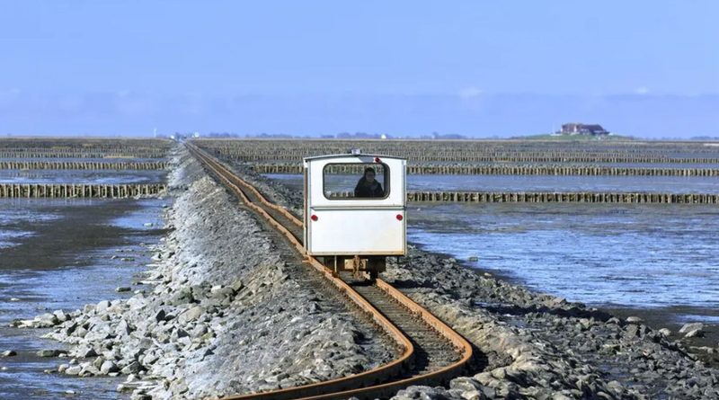Ovo je najčudnija željeznička pruga u sjevernoj Evropi: Vozi do ostrva na kojem živi 20 stanovnika Ovo je najčudnija željeznička pruga u sjevernoj Evropi: Vozi do ostrva na kojem živi 20 stanovnika