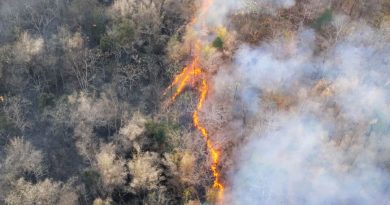 Počeo El Ninjo? Naučnici upozoravaju da bi mogao biti među najjačima ikada i da svet očekuju ekstremne vremenske prilike