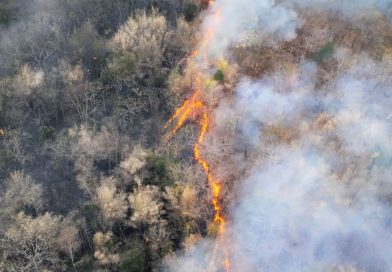 Počeo El Ninjo? Naučnici upozoravaju da bi mogao biti među najjačima ikada i da svet očekuju ekstremne vremenske prilike Počeo El Ninjo? Naučnici upozoravaju da bi mogao biti među najjačima ikada i da svet očekuju ekstremne vremenske prilike