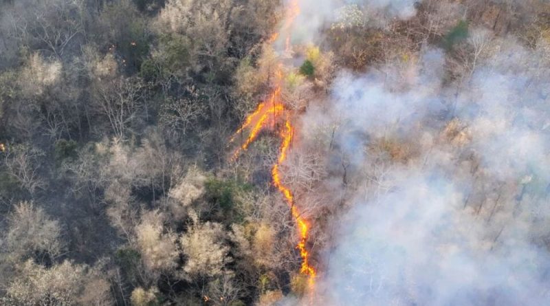 Počeo El Ninjo? Naučnici upozoravaju da bi mogao biti među najjačima ikada i da svet očekuju ekstremne vremenske prilike Počeo El Ninjo? Naučnici upozoravaju da bi mogao biti među najjačima ikada i da svet očekuju ekstremne vremenske prilike