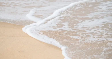 Hrvatska pala na listi najčistijih plaža u Evropi !