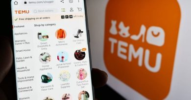 Kazna Temuu upozorenje za kompanije, ali i kupce: Čija je odgovornost?