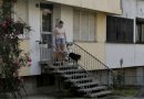 Bura zbog pasa i mačaka u Banjaluci: Šta je već propisano, a šta bi bilo novo !
