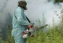 Sve zavisi od vremenskih prilika: Evo kada u Banjaluci počinje zaprašivanje komaraca !