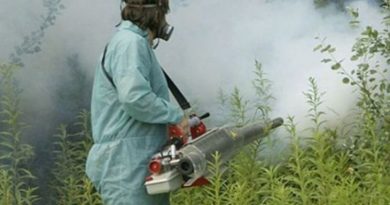 Sve zavisi od vremenskih prilika: Evo kada u Banjaluci počinje zaprašivanje komaraca !