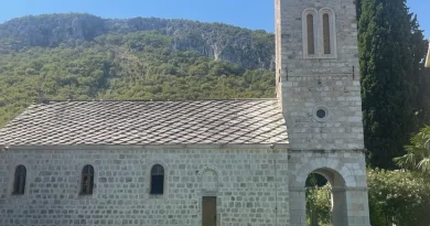 U porti srpskog manastira raste kriva palma !