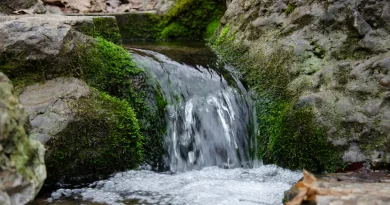 Prirodne lepote ovih zemalja nikoga ne ostavljaju ravnodušnim !
