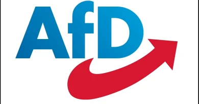 Kriza Volkswagena trese Njemačku, AfD vidi veliku priliku !