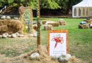 Banjaluku preplavljuju boje jeseni: Počinje festival cvijeća, plodova i meda !