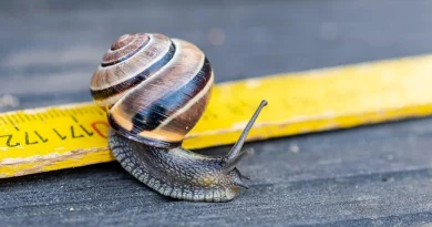 Zašto najveće AI kompanije traže da se razvoj veštačke inteligencije uspori?