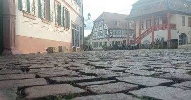 Mi smo uživali, a sada ‘vodimo’ i vas! Vina i hrana zbog kojih se vredi uputiti u NEMAČKU TOSKANU